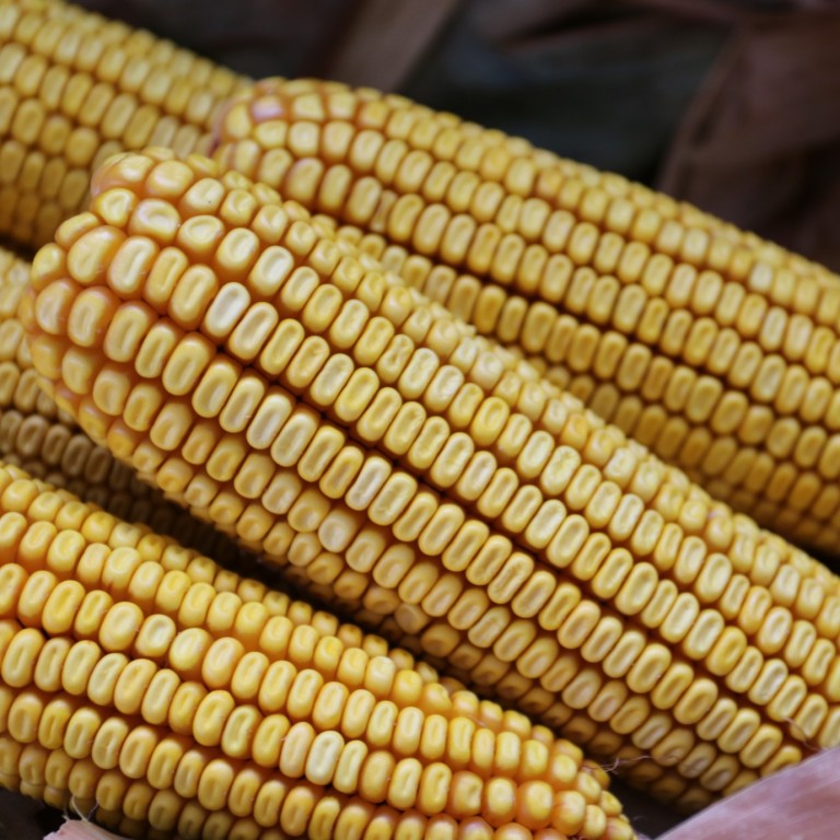 Hello, I am looking to buy cereals / Hellow i want to buy next: Wheat / Corn / Bran / Barley / Flower / Concentrates Preferably to be combined and transport