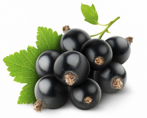 Good morning, I will sell a nice, large chokeberry in a manual way