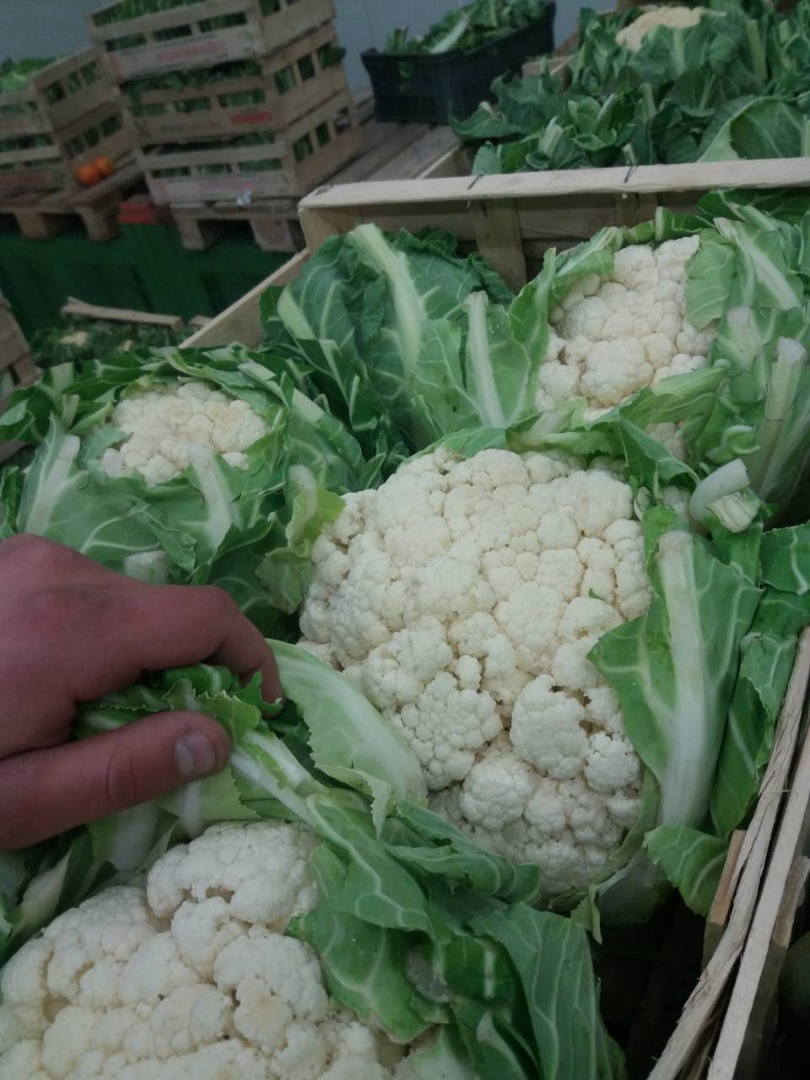 I will sell the last 2,500 pieces of cauliflower