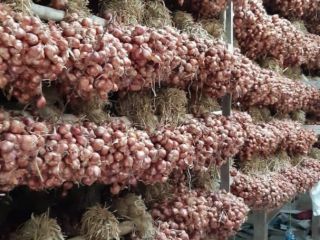 We supply best quality of Onion, we have stock