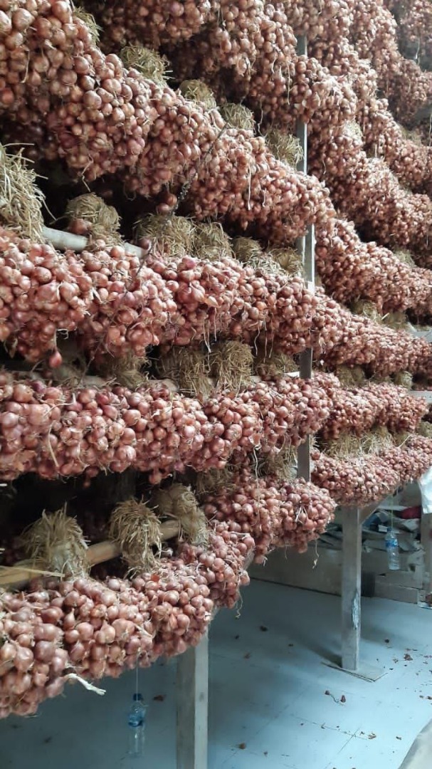 We supply best quality of Onion, we have stock available and ready to supply to any country, price of Red onion and Brown onion $440 USD/Ton Please contact me