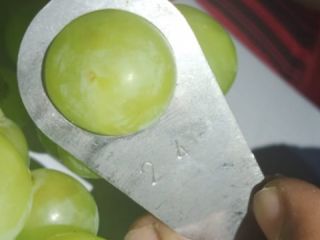 We have a very nice and fresh green and