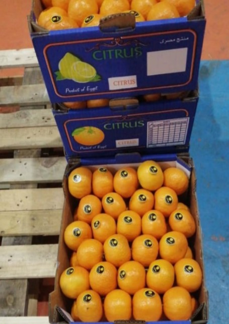 We have Lemon, Lime, citrus in stock, up to 40ft container load, CIF price We can deliver to any country..if you need lemon, please contact me.
