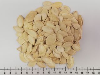 For sale - pumpkin seeds in shell Packaging: 25