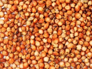 Sell ​​corn, rapeseed, sorghum, sunflower from 20 tons