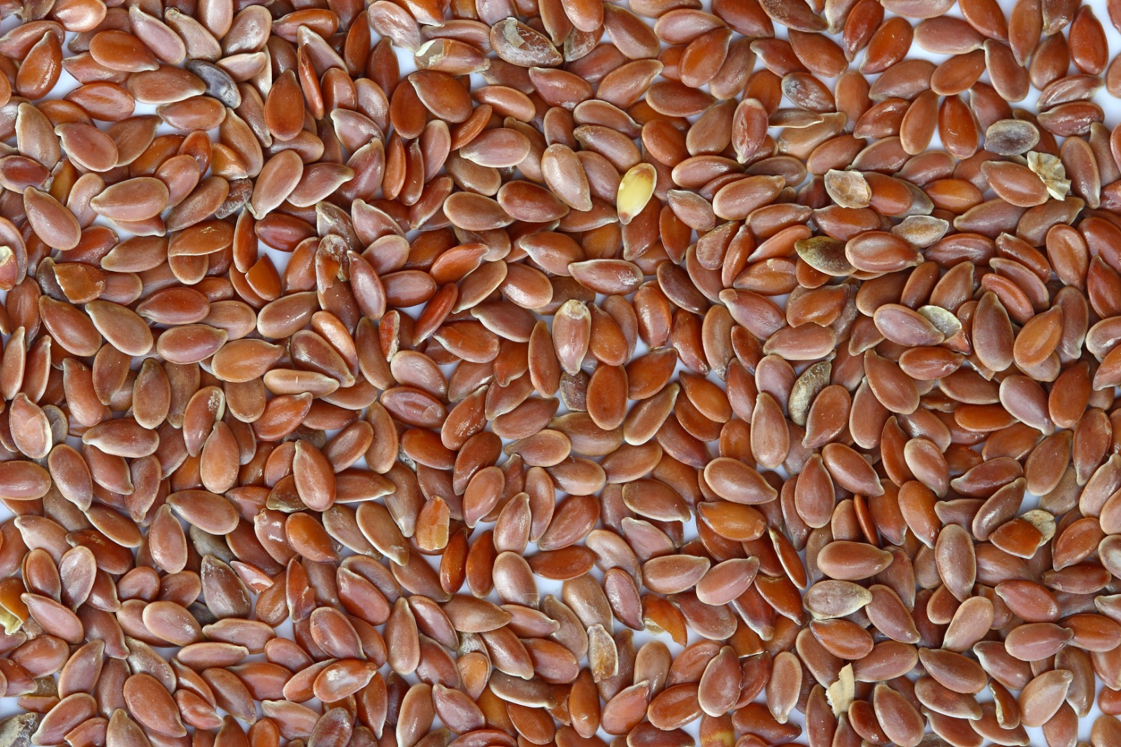 We are selling high quality brown flax (have 110 t.), rapeseed (have 180 t.), soybeans (have 1000 t.) grown in Ukraine, based in Poland