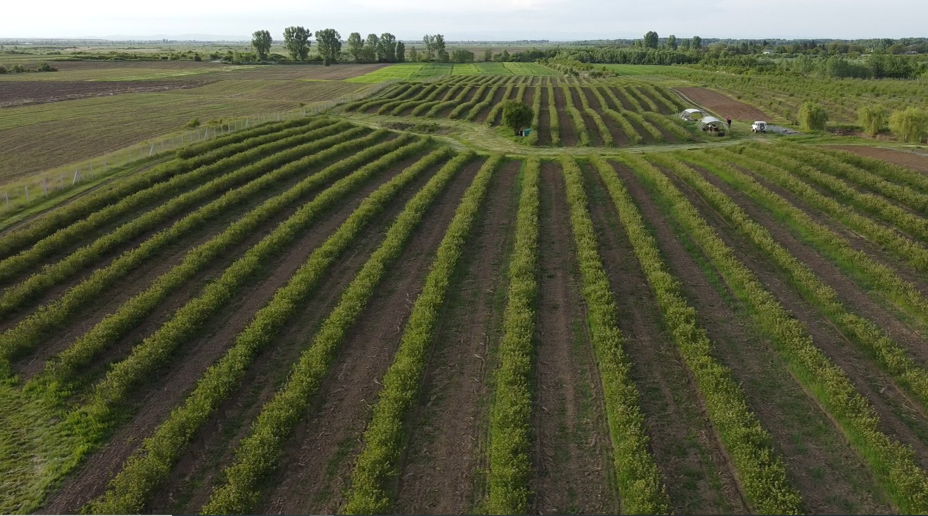 Organic Farm from Romania