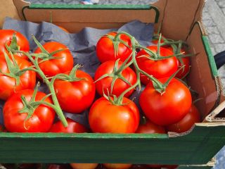 I will sell a tomato