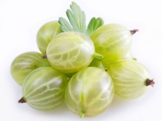 I'm looking to buy fresh gooseberries in large, wholesale