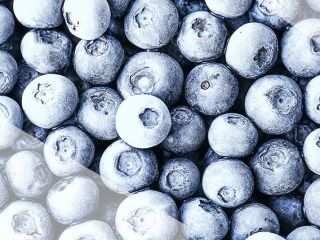 I will buy frozen blueberries, about 20 tons. Packed