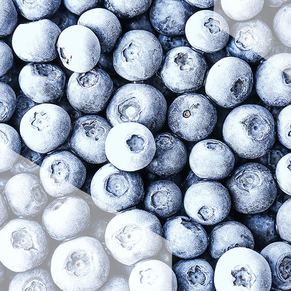 I will buy frozen blueberries, about 20 tons