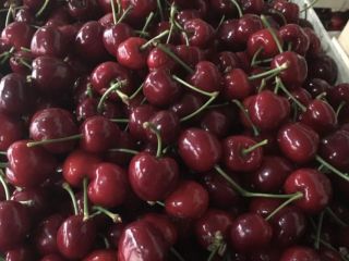 I am offering very huge and healthy cherries, caliber