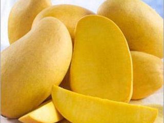 I am a trader and exporter of Fruits, Vegetables