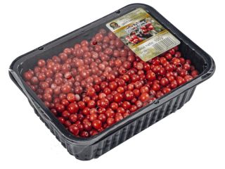 Fresh blueberries for sale in the season of 2022.