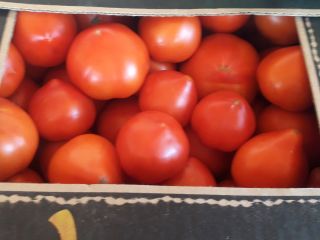 Tomatoes bet and precos.