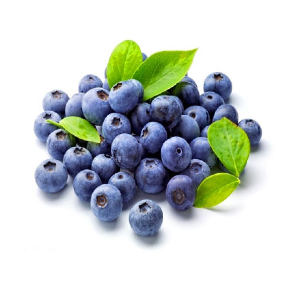 High quality blueberry