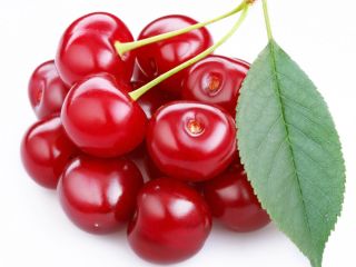 Fresh sour cherries for sale. The Oblacinska variety, the