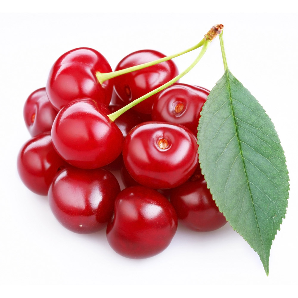 Fresh sour cherries for sale