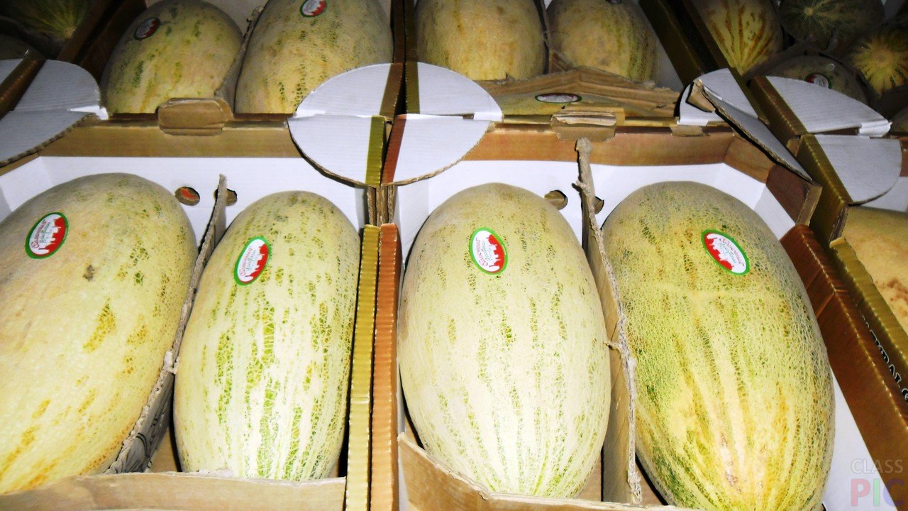 Dear friends I offer you sweet melon from Uzbekistan at compatative price