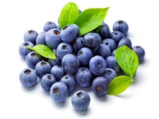 Very large and extremely sweet blueberry