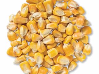We are selling for export - soybeans, wheat, corn,