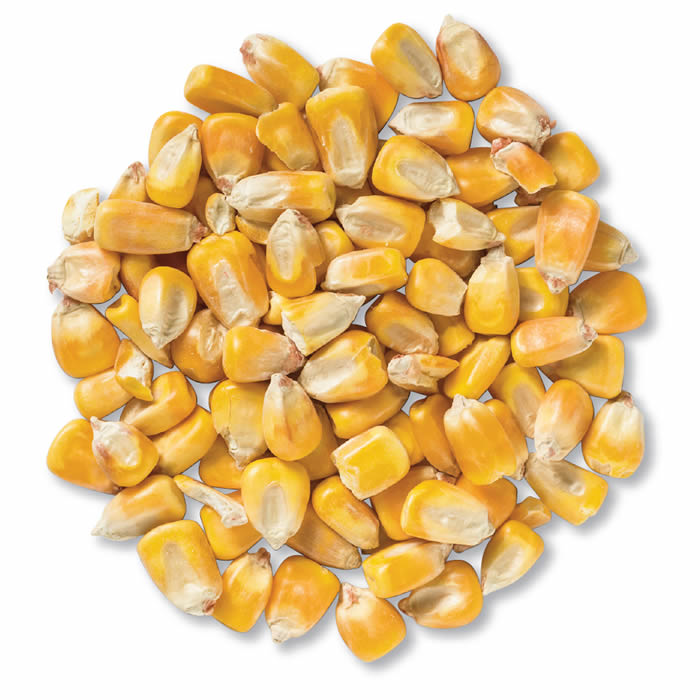 We are selling for export - soybeans, wheat, corn, sunflower, sunflower meal, soybean meal Delivery by wagon or vehicle Contact - Rami (viber whatsapp)