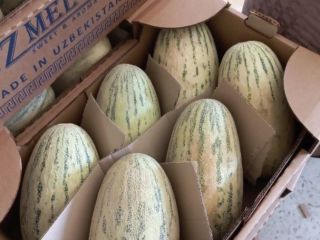 The best melons from Uzbekistan, TORPEDO variety. We offer