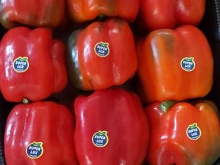 CALIFORNIA red pepper. - 8.00 PLN / KG Red