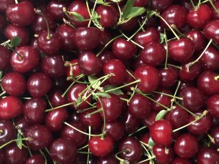 I am selling very tasty cherries, large quantity, orchard