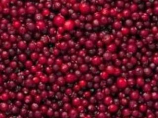 Frozen red currant (сranberry). Class A Frozen wild-growing black