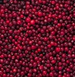 Frozen red currant (сranberry)