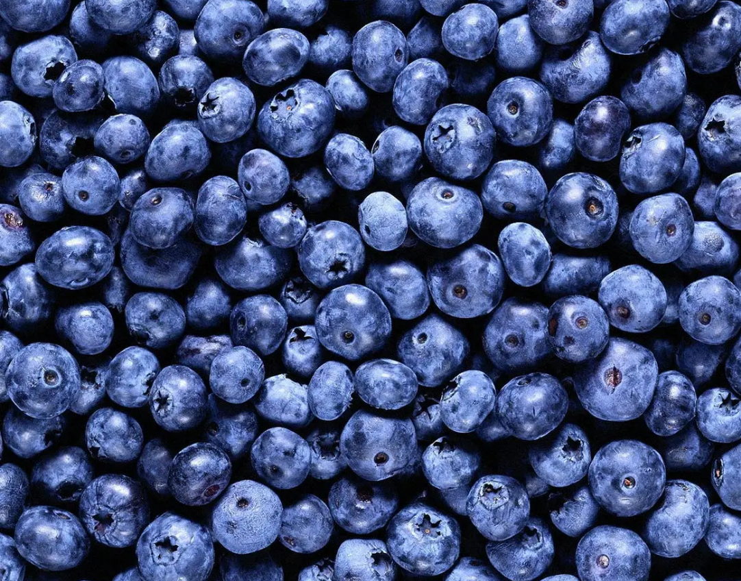 Frozen wild blueberries