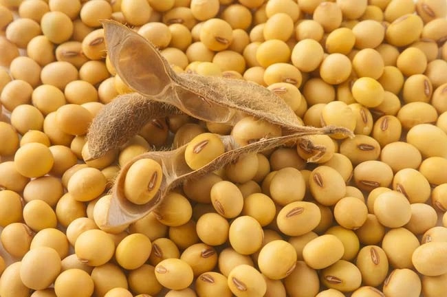 GMO soybeans of Ukrainian origin, Moisture up to 12%, Protein 36-38%, Impurities 2%, Packed in BigBags, DAP delivery