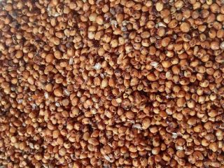 We offer red sorghum, 232 mt, located in south-western
