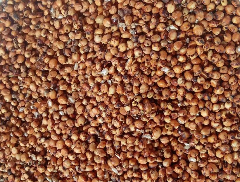 We offer red sorghum, 232 mt, located in south-western part of Odessa region
