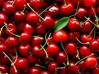 We sell 50-100 T cherries