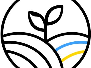 Goods are imported to Romania Storage in Silo Forage