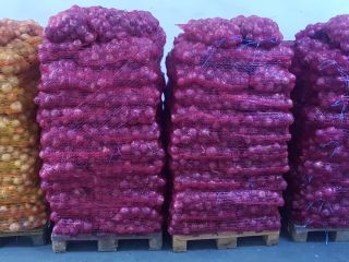 White and red onions for sale. Price negotiable