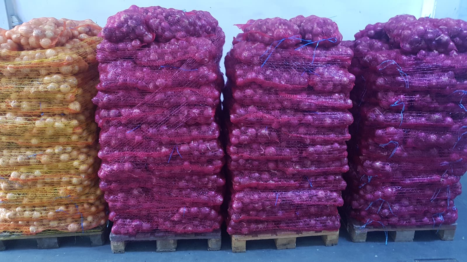 White and red onions for sale