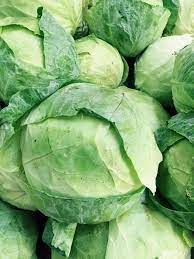 Manufacturer, We sell summer cabbage wholesale, starting with July 11th
