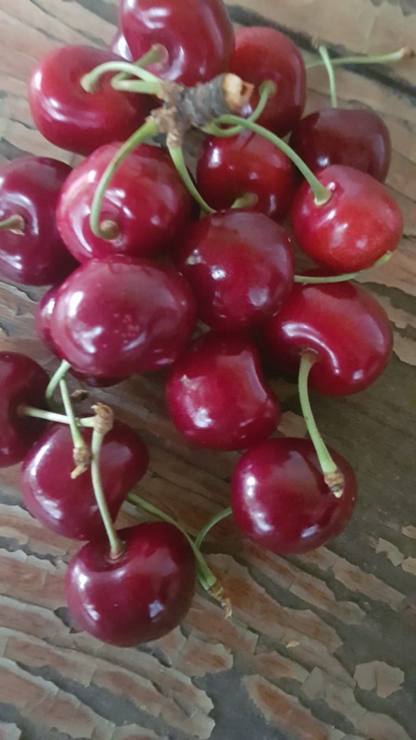 I will sell Moldavian cherries of the variety Moldavian Multi-fruit, Regina, Korgia