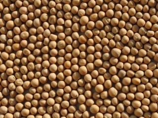 Yellow peas for sale with delivery! Whatsapp, viber.