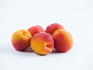 KYOTO apricots, high quality.