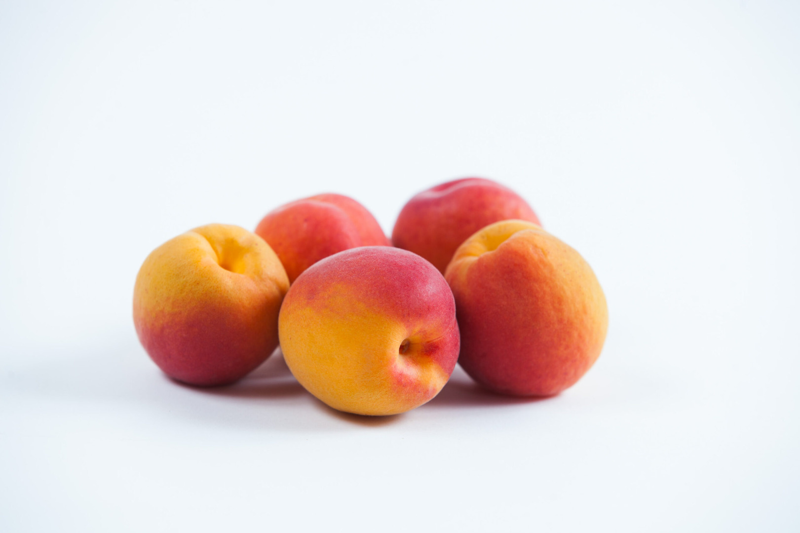KYOTO apricots, high quality