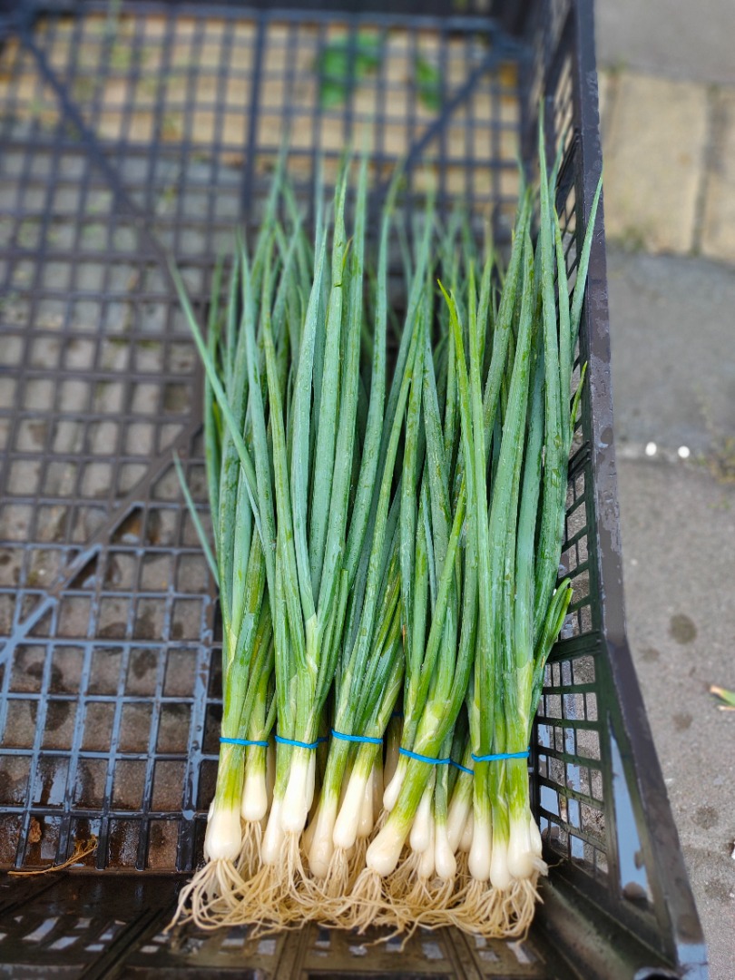 Onion with chives