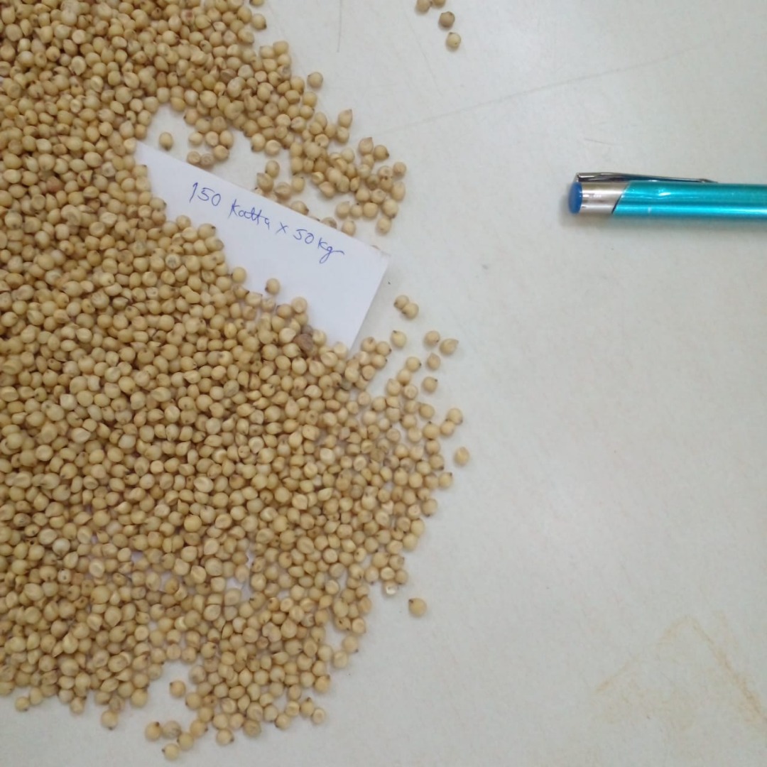 Hello Sir/Ma We sell Sorghum seeds, we have available stock to supply to any country, and destination port.