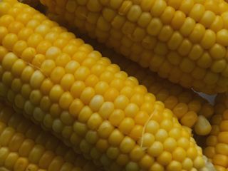 We are offering corn. Type IX, class 3, humidity