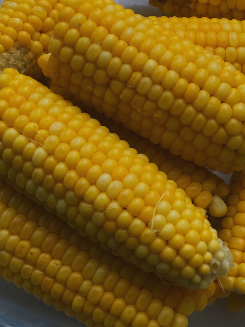 We are offering corn