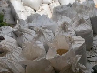 We have a range of Soya Beans for sale