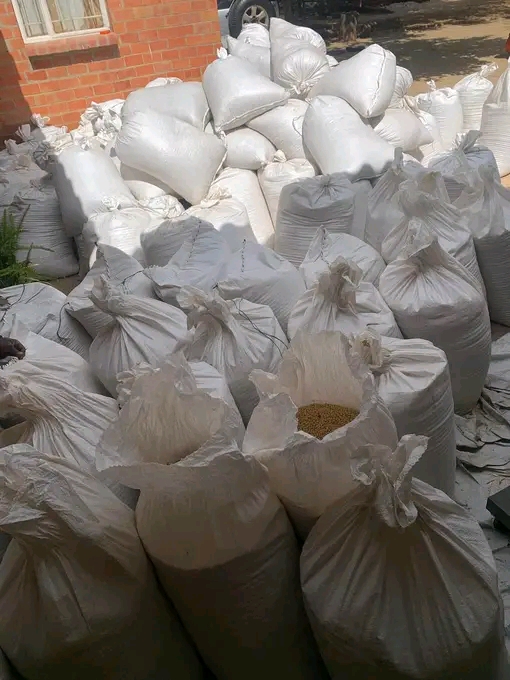 We have a range of Soya Beans for sale for customers with high demands on weight, quality, and cost